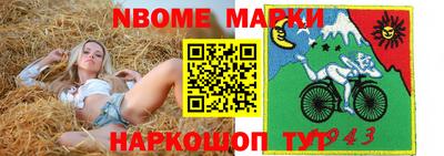 гашик Берёзовский