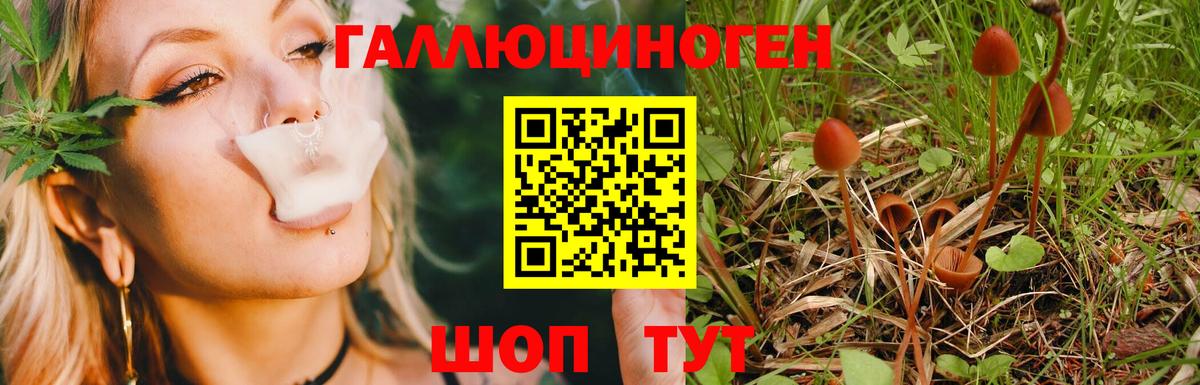 Псилоцибиновые грибы MAGIC MUSHROOMS  Вход с VPN  Псилоцибиновые грибы Magic Shrooms  Заволжье 